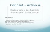 Caribsat – Action 4 Cartographie des habitats marins par télédétection Médéric Mainson, IRD Martinique Objectifs: Etudier les effets des pressions anthropiques.