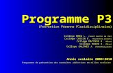 Programme P3 (Prévention Pérenne Pluridisciplinaire) Collège BREA L. (Saint martin du Var) Collège CASSIN R. (Tourrette-Levens) Collège MATISSE H. (Nice)