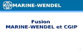 1 Fusion MARINE-WENDEL et CGIP MARINE-WENDEL. 2 Participation de MARINE-WENDEL   lOPRA CGIP 3 200 000 actions x 44 = 141 M d Rachat par MARINE-WENDEL