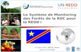 Le Système de Monitoring des Forêts de la RDC pour la REDD+ 11 Juin 2011, SBSTA, Bonn 18:15-19:45 RAIL.