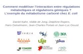 Comment modéliser l'interaction entre régulations métaboliques et régulations géniques ? L'exemple du métabolisme carboné chez E. coli Daniel Kahn, Hidde.