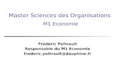 Master Sciences des Organisations M1 Economie Frédéric Peltrault Responsable du M1 Economie frederic.peltrault@dauphine.fr.