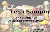 Les champignons René ROUDAUT Le 23 Septembre 2010 Diaporama : M.Picart.