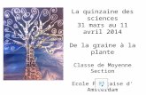 La quinzaine des sciences 31 mars au 11 avril 2014 De la graine à la plante Classe de Moyenne Section Ecole Française d' Amsterdam.