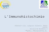 LImmunohistochimie Khennouf Lila, Langlais Valentin, Robin Laurie Universit© Bordeaux 2 Master 1 Neurosciences et Neuropsychopharmacologie