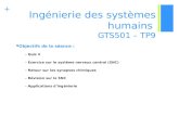 + Ingénierie des systèmes humains GTS501 – TP9 Objectifs de la séance : - Quiz 4 - Exercice sur le système nerveux central (SNC) - Retour sur les synapses.