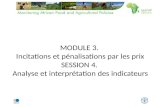 MODULE 3. Incitations et pénalisations par les prix SESSION 4. Analyse et interprétation des indicateurs.