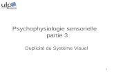1 Duplicité du Système Visuel Psychophysiologie sensorielle partie 3.