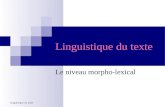 Linguistique du texte Le niveau morpho-lexical Linguistique du texte.