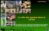 1 Le rôle des quotas dans la CITES  © Copyright Secrétariat CITES 2005 Convention sur le commerce international des espèces de faune et de.