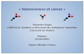 « Nanosciences et cancer » Sébastien Papot UMR 6514, Synthèse et Réactivité des Substances Naturelles Université de Poitiers Poitiers (15/03/2011) Espace.