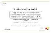 DMN/SRMA Club Cast3m 2008 Approche multi-échelle du comportement mécanique des matériaux composites SiC/SiC Chateau C. 1,2, Gélébart L. 1, Bornert M. 2,