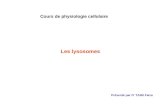 Cours de physiologie cellulaire Les lysosomes Présenté par D r TAIBI Faiza.