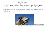Âgisme: mythes, stéréotypes, préjugés. « Quand on veut noyer son chien, on dit quil a la rage. » Roger Thériault AREQ, Beauport, Côte-de-Beaupré, 14 novembre.