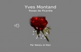 Yves Montand Roses de Picardie Par Nanou et Stan.