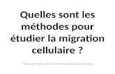 Quelles sont les méthodes pour étudier la migration cellulaire ? Théo Foutel--Rodier, ENS Cachan L3 Biologie cellulaire et moléculaire.