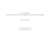 Les tourbières, un livre dhistoire de la végétation et du climat du passé Spores et pollens L. Leclercq, M. Streel, Ph. Gerrienne Université de Liège Station.