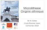 Société de Chirurgie de Lyon Microlithiase Origine ethnique Dr N. Golse Croix-Rousse, Lyon 13 Février 2014.