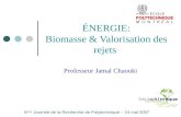 ÉNERGIE: Biomasse & Valorisation des rejets Professeur Jamal Chaouki 6 ème Journée de la Recherche de Polytechnique – 24 mai 2007.
