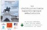 Société de Chirurgie de Lyon La cholécystectomie laparoscopique ambulatoire Dr Nicolas BERTHOUX Dr Marc Olivier ROBERT Polyclinique du Beaujolais Villefranche.