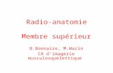Radio-anatomie Membre supérieur B.Bonnaire, M.Warin CA dimagerie musculosquelettique.