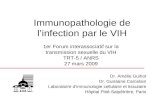 Immunopathologie de linfection par le VIH Dr. Amélie Guihot Dr. Guislaine Carcelain Laboratoire dimmunologie cellulaire et tissulaire Hôpital Pitié-Salpêtrière,
