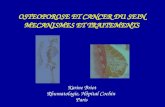 Karine Briot Rhumatologie, Hôpital Cochin Paris OSTEOPOROSE ET CANCER DU SEIN MECANISMES ET TRAITEMENTS.