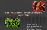 Les nouveaux antibiotiques anti-BGN Julie Traclet DESC de Réanimation médicale Juin 2009 - module infectieux.