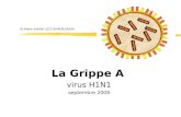Dr Marie-Estelle LECCIA-MERLENGHI La Grippe A virus H1N1 septembre 2009.