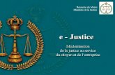 Sommaire La Justice en chiffres Les projets financés par les bailleurs de fonds Le projet e-Justice e-Justice en pratique : illustrations Conclusions.