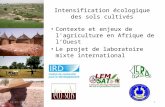 Intensification écologique des sols cultivés Contexte et enjeux de lagriculture en Afrique de lOuest Le projet de laboratoire mixte international 12/07/20111.