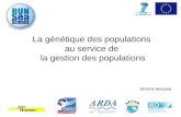 La génétique des populations au service de la gestion des populations Jérôme Bourjea.