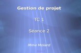 Gestion de projet - TC1 Gestion de projet TC 1 Séance 2 Mme Molard Gestion de projet TC 1 Séance 2 Mme Molard.