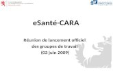 ESanté-CARA Réunion de lancement officiel des groupes de travail (03 juin 2009)