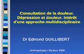 1 Consultation de la douleur. Dépression et douleur. Intérêt d'une approche multidisciplinaire Dr Edmond GUILLIBERT Anthropologie / Douleur 2008