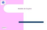 Modèle de Guyton LTSI. Modèle de Guyton Description des mécanismes de régulation de la circulation 18 modules : Diversité des Systèmes physiologiques.