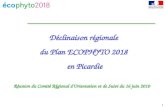 1 Déclinaison régionale du Plan ECOPHYTO 2018 en Picardie Réunion du Comité Régional dOrientation et de Suivi du 16 juin 2010.
