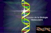 Histoire de la Biologie Moleculaire. Les gènes sont sur les chromosomes proteines Ou ADN.