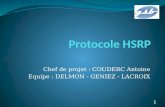Chef de projet : COUDERC Antoine Equipe : DELMON - GENIEZ - LACROIX 1.