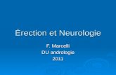 Érection et Neurologie F. Marcelli DU andrologie 2011.