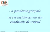 La pandémie grippale et ses incidences sur les conditions de travail 18 septembre 2009 Ch. Ramet - CFDT Commission Conditions de Travail.