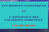 1 LES RISQUES CLIMATIQUES ET LASSURANCE DES CALAMITES AGRICOLES CAS DU BENIN.