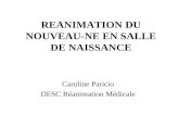 REANIMATION DU NOUVEAU-NE EN SALLE DE NAISSANCE Caroline Paricio DESC Réanimation Médicale.