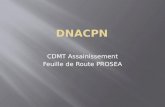 CDMT Assainissement Feuille de Route PROSEA. La DNACPN a été crée suivant Ordonnance N°027/P- RM du 25 aout 1998, avec comme mission lélaboration des.