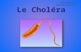 ...Réalisé par Marine Brélit.... Le choléra est une toxi-infection intestinale grave, très contagieuse, causée par lentérotoxine dune bactérie : Vibrio.