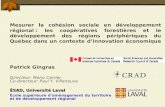 Mesurer la cohésion sociale en développement régional : les coopératives forestières et le développement des régions périphériques du Québec dans un contexte.