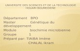 Département BPO Master Génétique du développement Module biochimie microbienne Groupe 1 Préparé par: TIAIBA Imène CHALAL Ikram.
