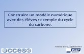 Construire un modèle numérique avec des élèves : exemple du cycle du carbone. Frédéric David, Agnès Rivière.