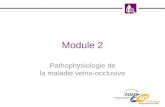 Module 2 Pathophysiologie de la maladie veino-occlusive.