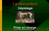 C. Gouy - soirée POURTANT LA VIE -17/11/09 1 Dépistage La dénutrition Prise en charge.